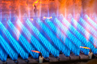 Deishar gas fired boilers